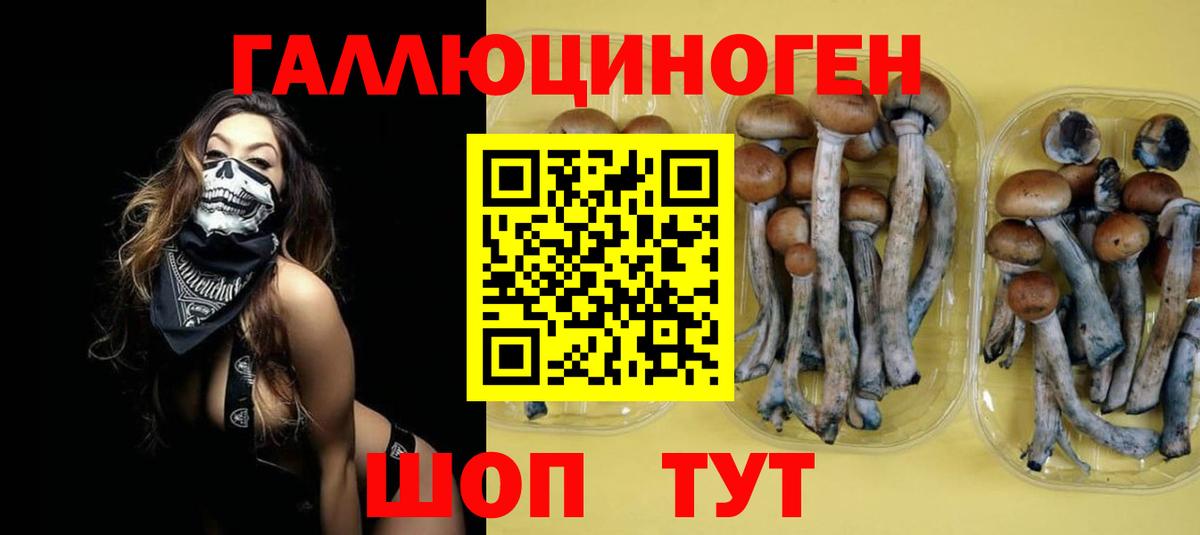 Псилоцибиновые грибы мицелий Гулькевичи